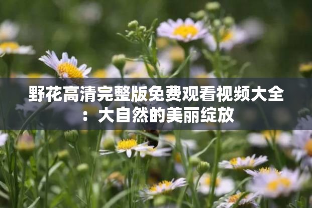 野花高清完整版免费观看视频大全：大自然的美丽绽放