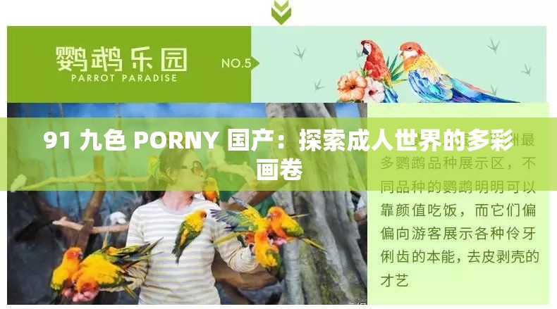 91 九色 PORNY 国产：探索成人世界的多彩画卷