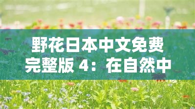 野花日本中文免费完整版 4：在自然中绽放的美丽与自由