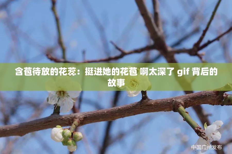 含苞待放的花蕊：挺进她的花苞 啊太深了 gif 背后的故事