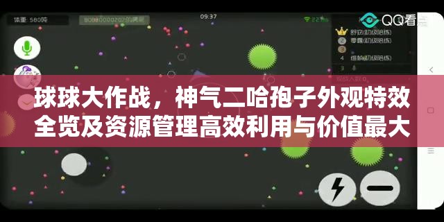 球球大作战，神气二哈孢子外观特效全览及资源管理高效利用与价值最大化策略