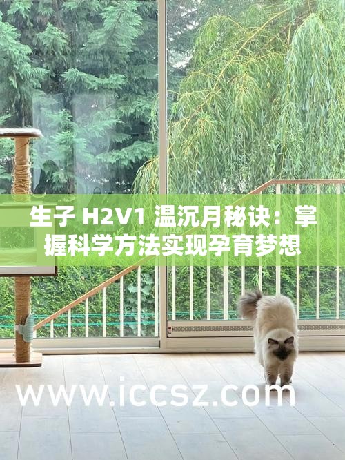 生子 H2V1 温沉月秘诀：掌握科学方法实现孕育梦想