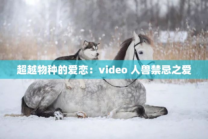 超越物种的爱恋：video 人兽禁忌之爱