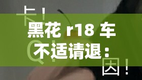 黑花 r18 车不适请退：相关内容详细说明与提醒