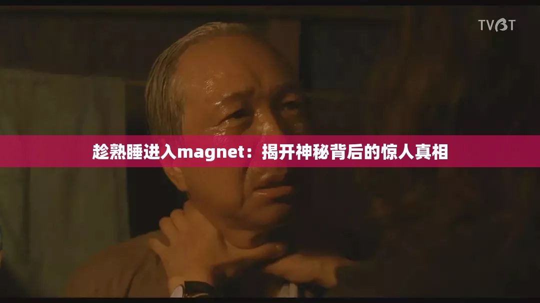 趁熟睡进入magnet：揭开神秘背后的惊人真相