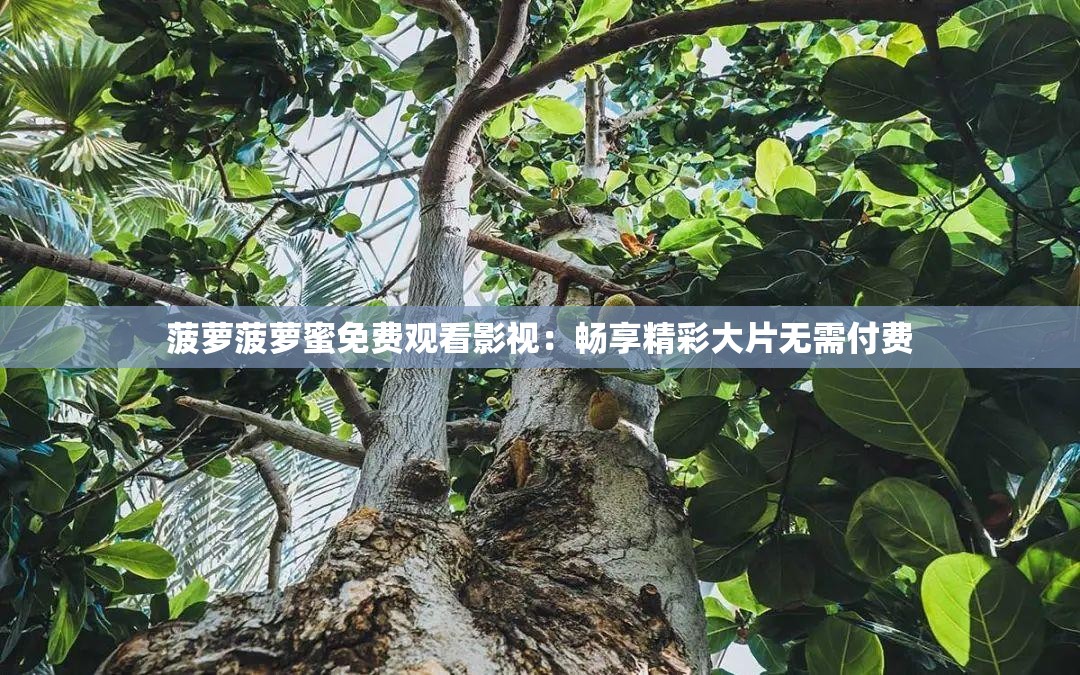 菠萝菠萝蜜免费观看影视：畅享精彩大片无需付费