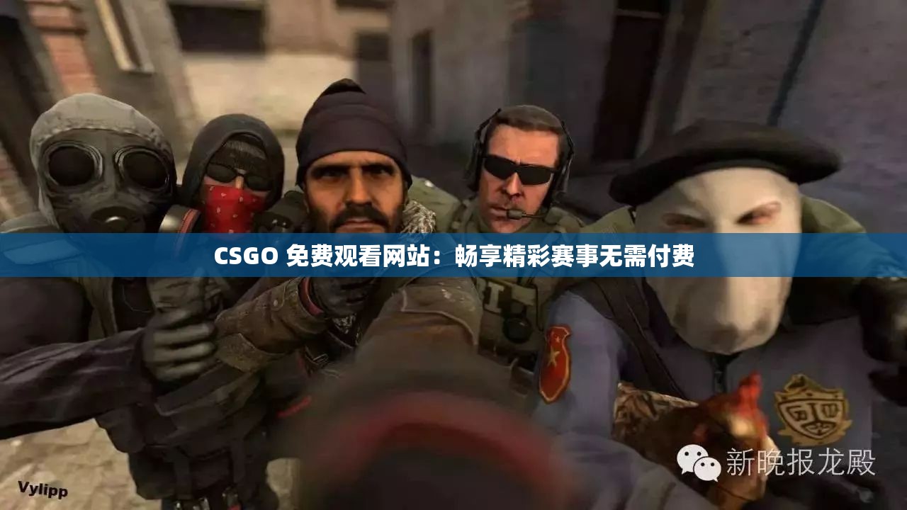 CSGO 免费观看网站：畅享精彩赛事无需付费