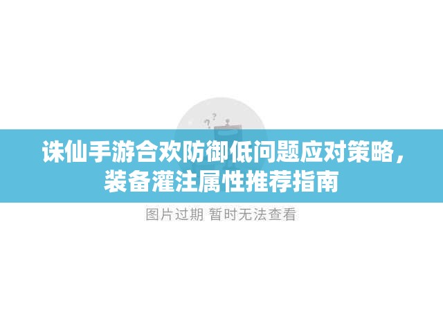 诛仙手游合欢防御低问题应对策略，装备灌注属性推荐指南