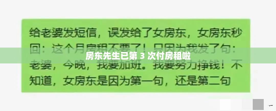 房东先生已第 3 次付房租啦