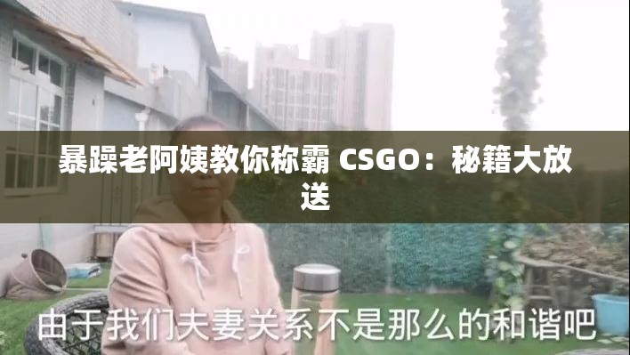 暴躁老阿姨教你称霸 CSGO：秘籍大放送