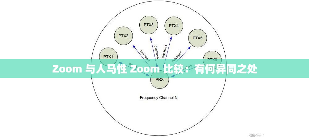 Zoom 与人马性 Zoom 比较：有何异同之处