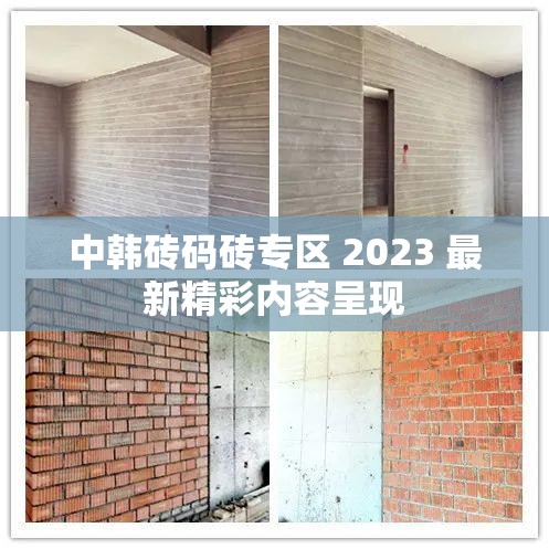 中韩砖码砖专区 2023 最新精彩内容呈现