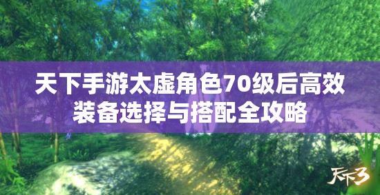 天下手游太虚角色70级后高效装备选择与搭配全攻略