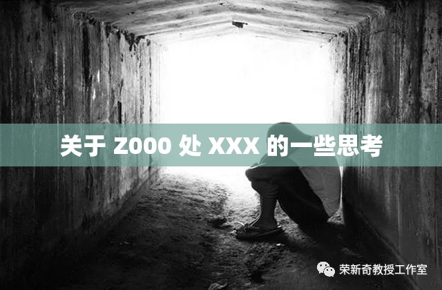 关于 Z000 处 XXX 的一些思考