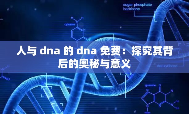 人与 dna 的 dna 免费：探究其背后的奥秘与意义