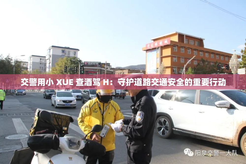 交警用小 XUE 查酒驾 H：守护道路交通安全的重要行动