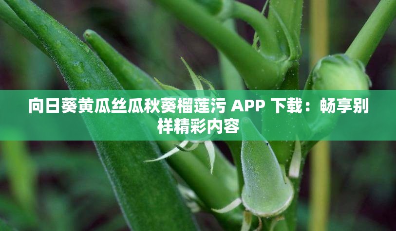 向日葵黄瓜丝瓜秋葵榴莲污 APP 下载：畅享别样精彩内容