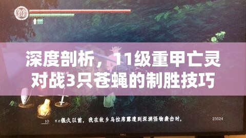 深度剖析，11级重甲亡灵对战3只苍蝇的制胜技巧，涵盖资源管理、高效应用及策略全面优化