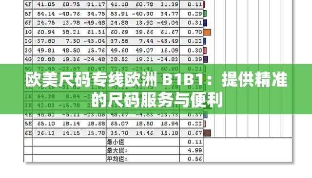 欧美尺码专线欧洲 B1B1：提供精准的尺码服务与便利
