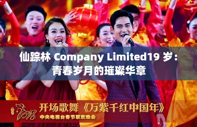 仙踪林 Company Limited19 岁：青春岁月的璀璨华章