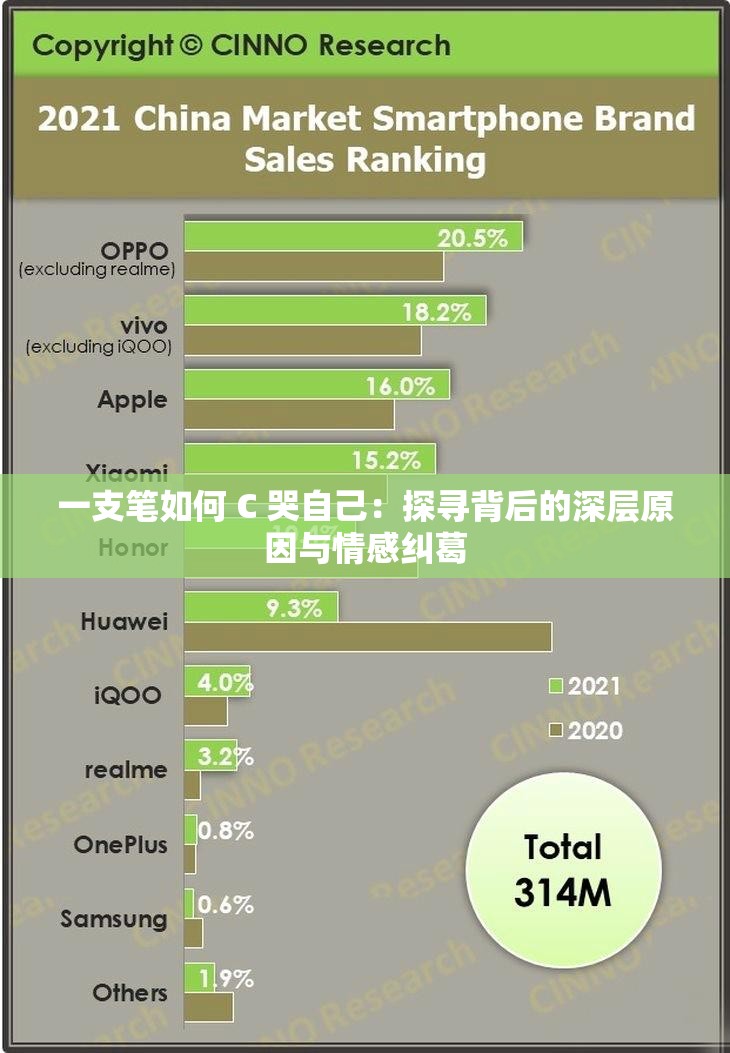 一支笔如何 C 哭自己：探寻背后的深层原因与情感纠葛