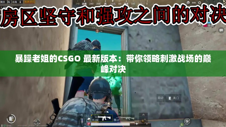 暴躁老姐的CSGO 最新版本：带你领略刺激战场的巅峰对决