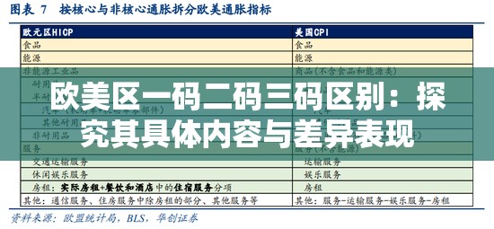 欧美区一码二码三码区别：探究其具体内容与差异表现