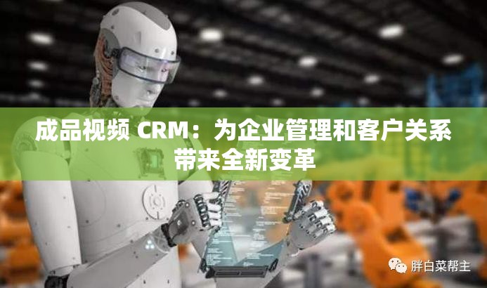 成品视频 CRM：为企业管理和客户关系带来全新变革