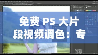 免费 PS 大片段视频调色：专业高效的视频色彩调整服务