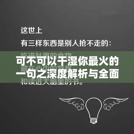 可不可以干湿你最火的一句之深度解析与全面探讨