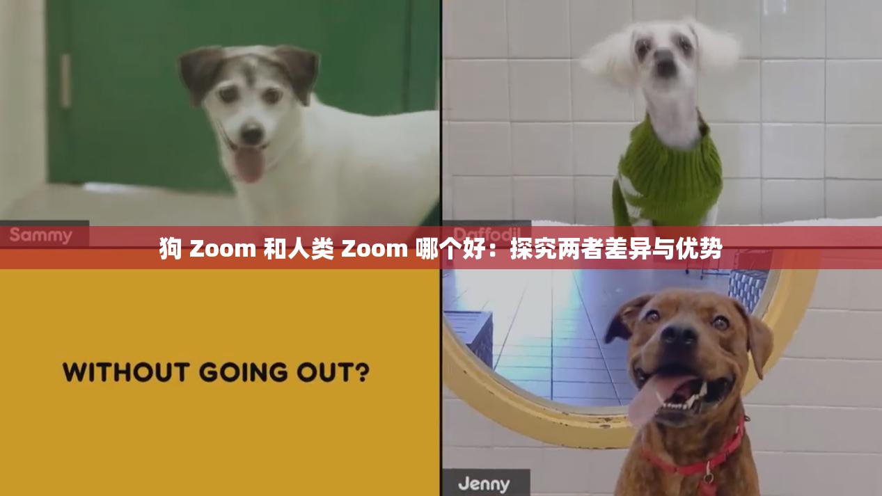 狗 Zoom 和人类 Zoom 哪个好：探究两者差异与优势