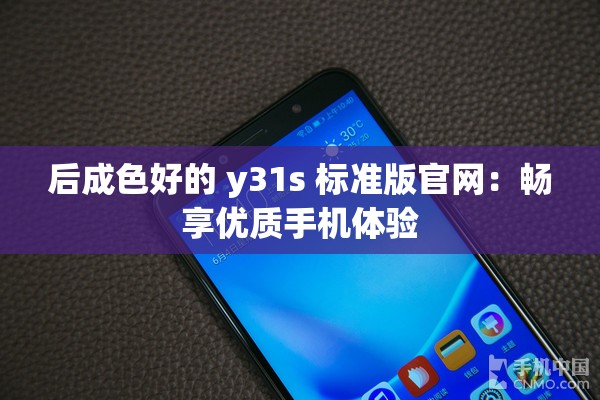 后成色好的 y31s 标准版官网：畅享优质手机体验