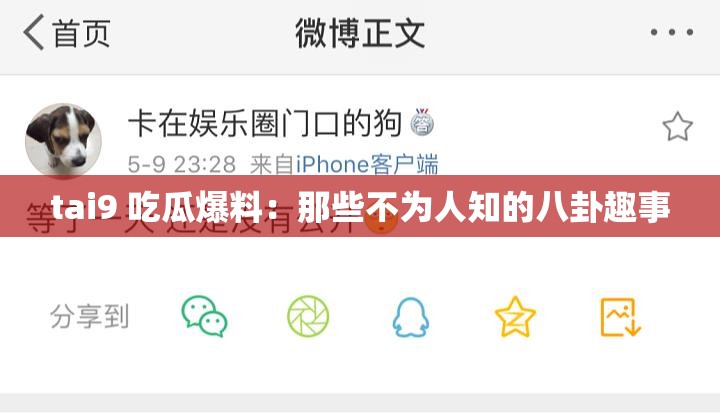 tai9 吃瓜爆料：那些不为人知的八卦趣事