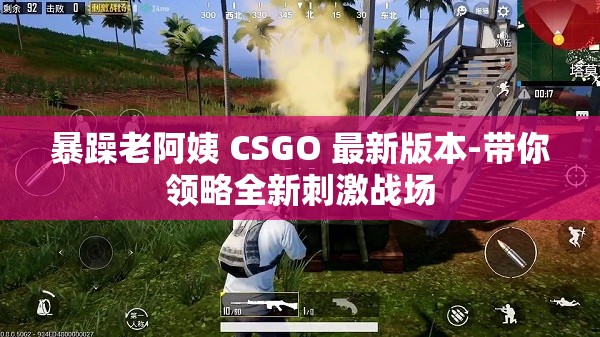 暴躁老阿姨 CSGO 最新版本-带你领略全新刺激战场