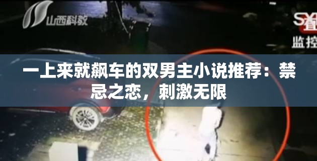 一上来就飙车的双男主小说推荐：禁忌之恋，刺激无限