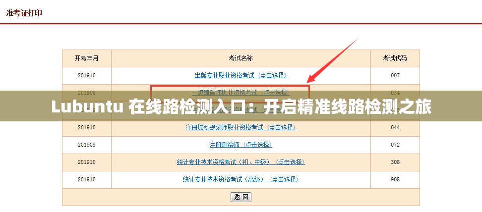 Lubuntu 在线路检测入口：开启精准线路检测之旅