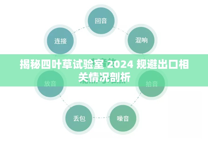 揭秘四叶草试验室 2024 规避出口相关情况剖析