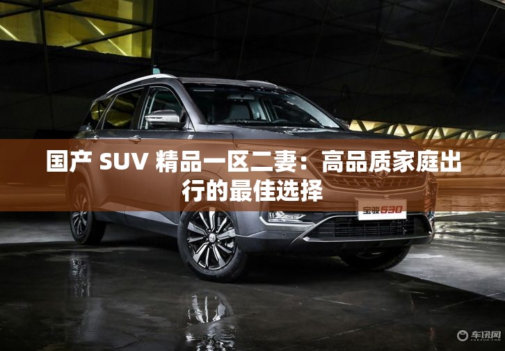 国产 SUV 精品一区二妻：高品质家庭出行的最佳选择