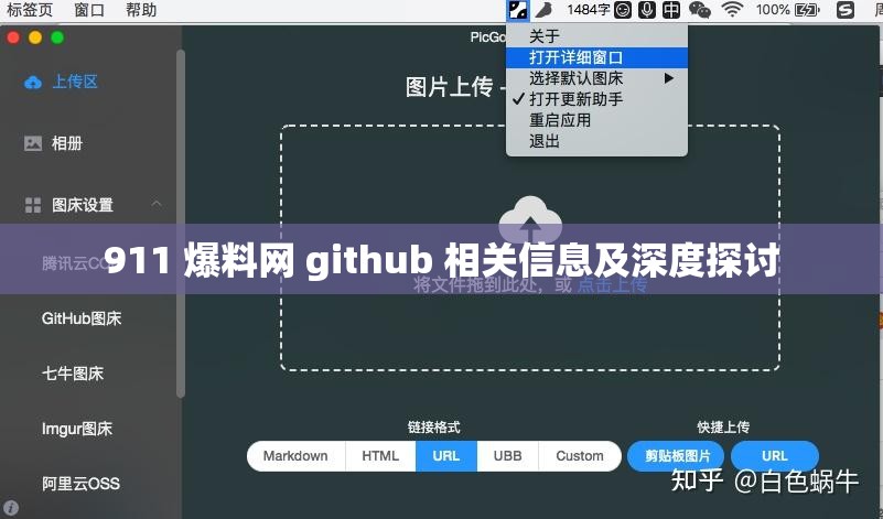 911 爆料网 github 相关信息及深度探讨