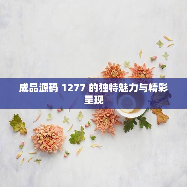 成品源码 1277 的独特魅力与精彩呈现