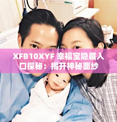 XFB10XYF 幸福宝隐藏入口探秘：揭开神秘面纱