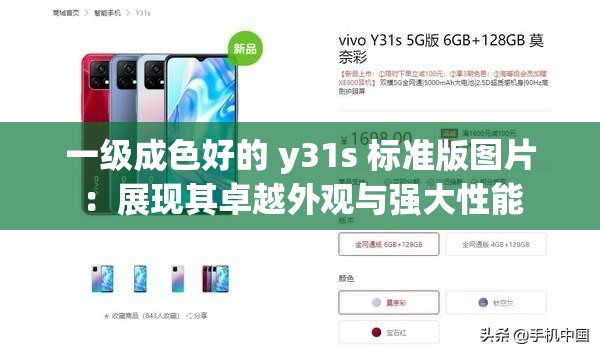 一级成色好的 y31s 标准版图片：展现其卓越外观与强大性能