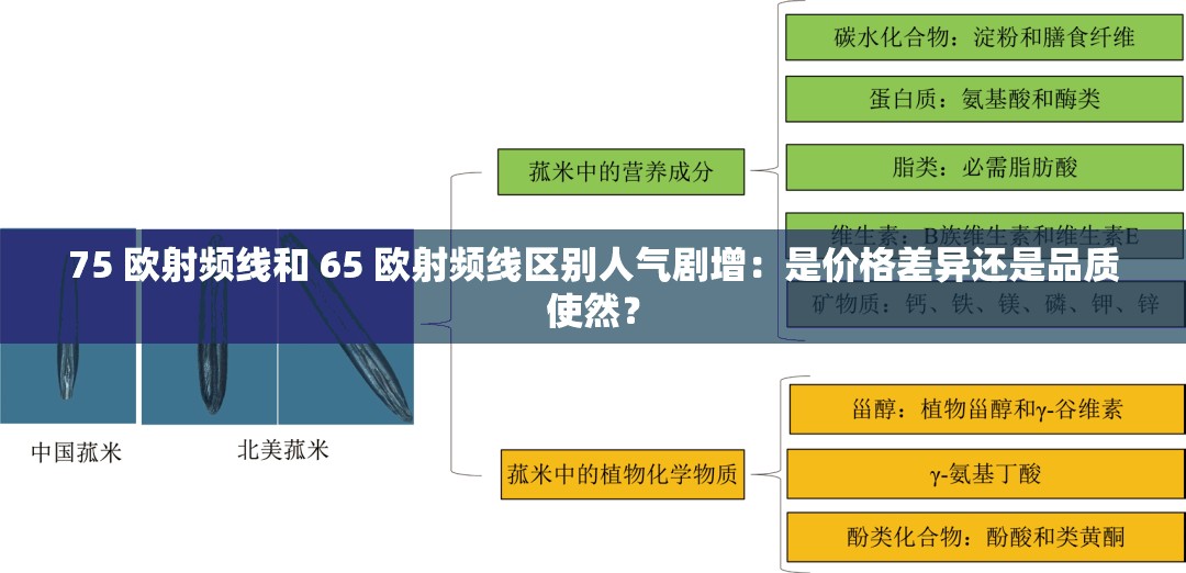 75 欧射频线和 65 欧射频线区别人气剧增：是价格差异还是品质使然？