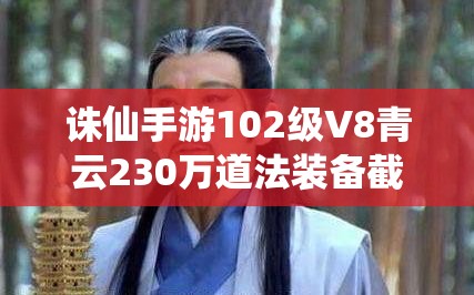 诛仙手游102级V8青云230万道法装备截图资源管理重要性及高效整合利用策略