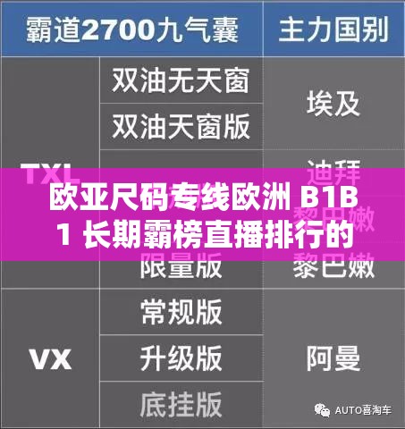 欧亚尺码专线欧洲 B1B1 长期霸榜直播排行的独特魅力与优势