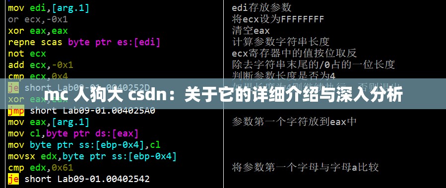 mc 人狗大 csdn：关于它的详细介绍与深入分析