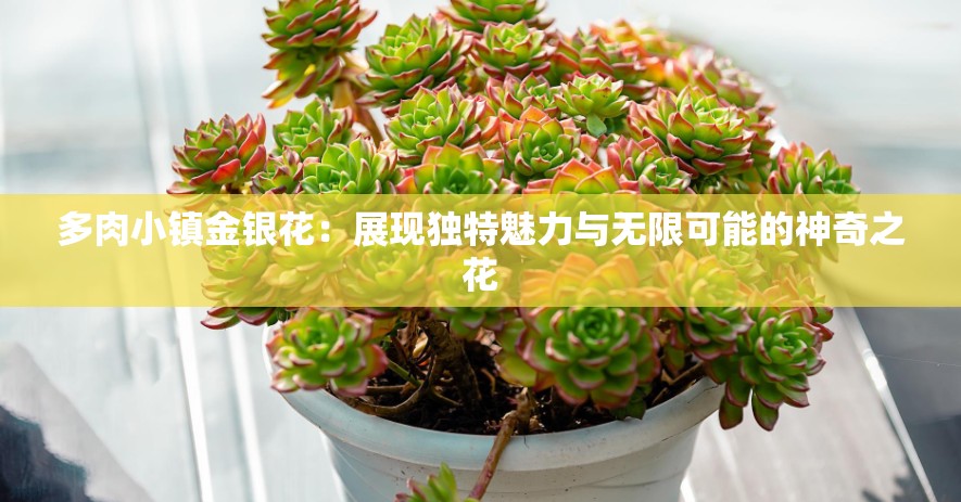 多肉小镇金银花：展现独特魅力与无限可能的神奇之花