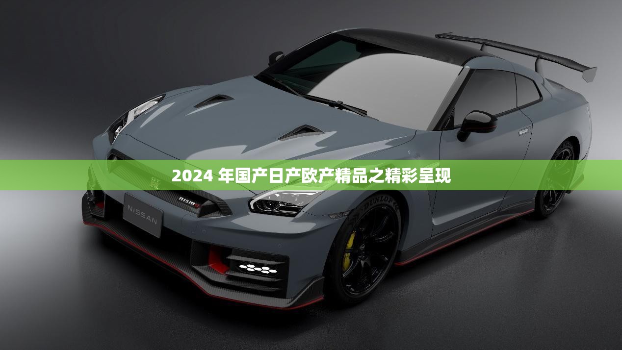 2024 年国产日产欧产精品之精彩呈现