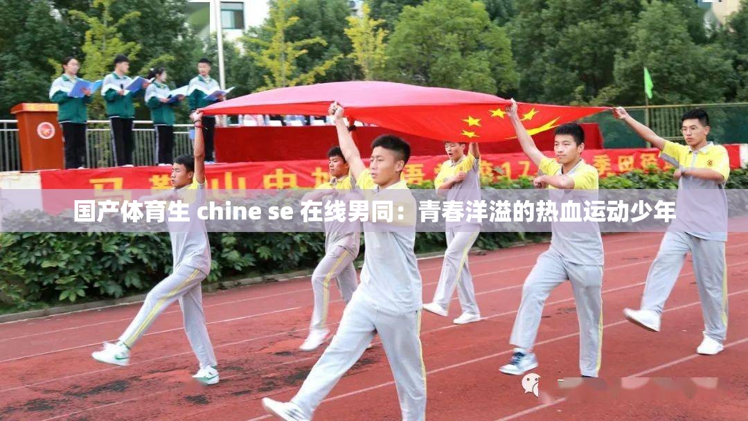 国产体育生 chine se 在线男同：青春洋溢的热血运动少年