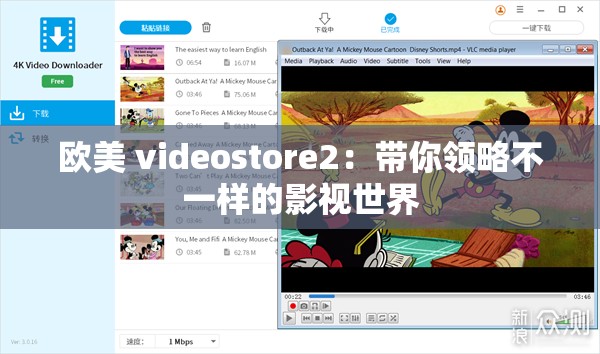 欧美 videostore2：带你领略不一样的影视世界